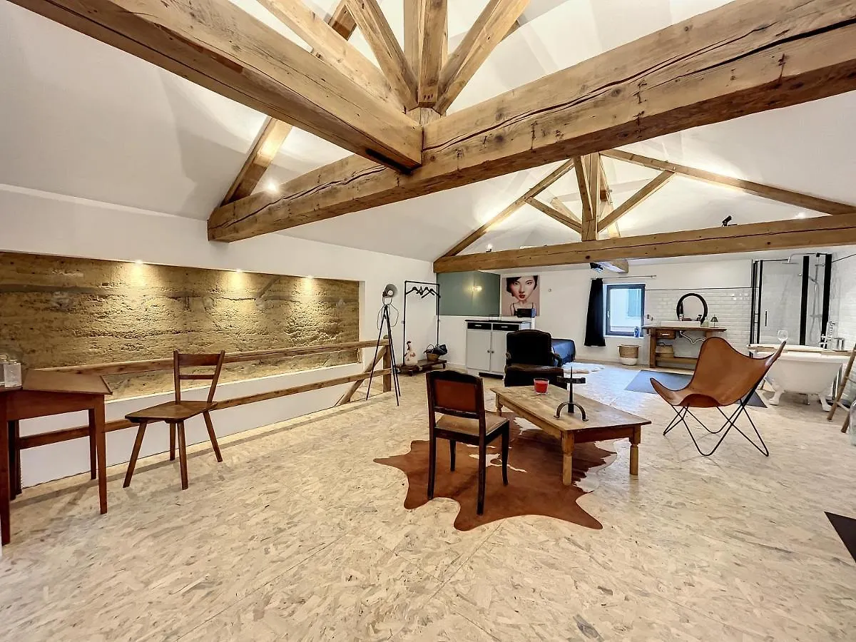 Magnifique Et Confortable Loft Marlieux Daire